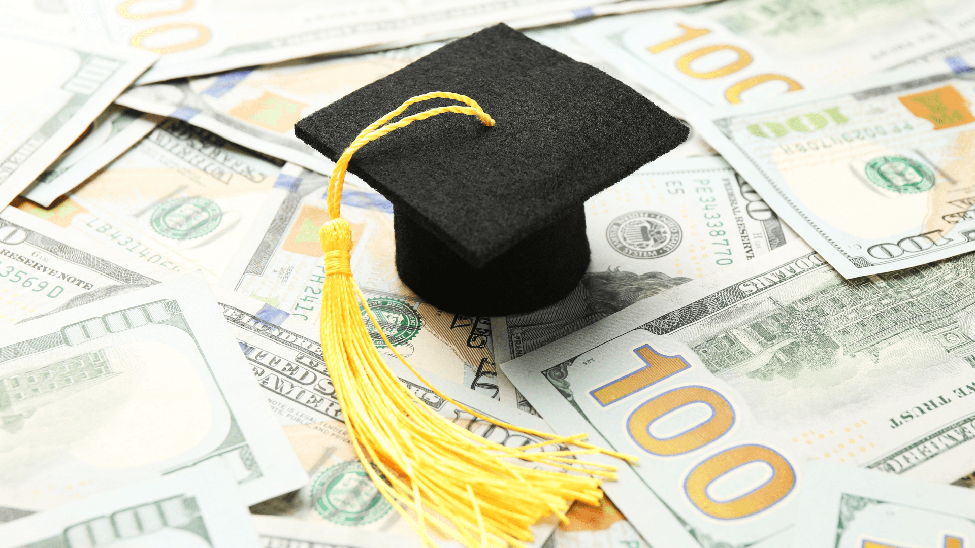 Students discussing scholarships and study plans